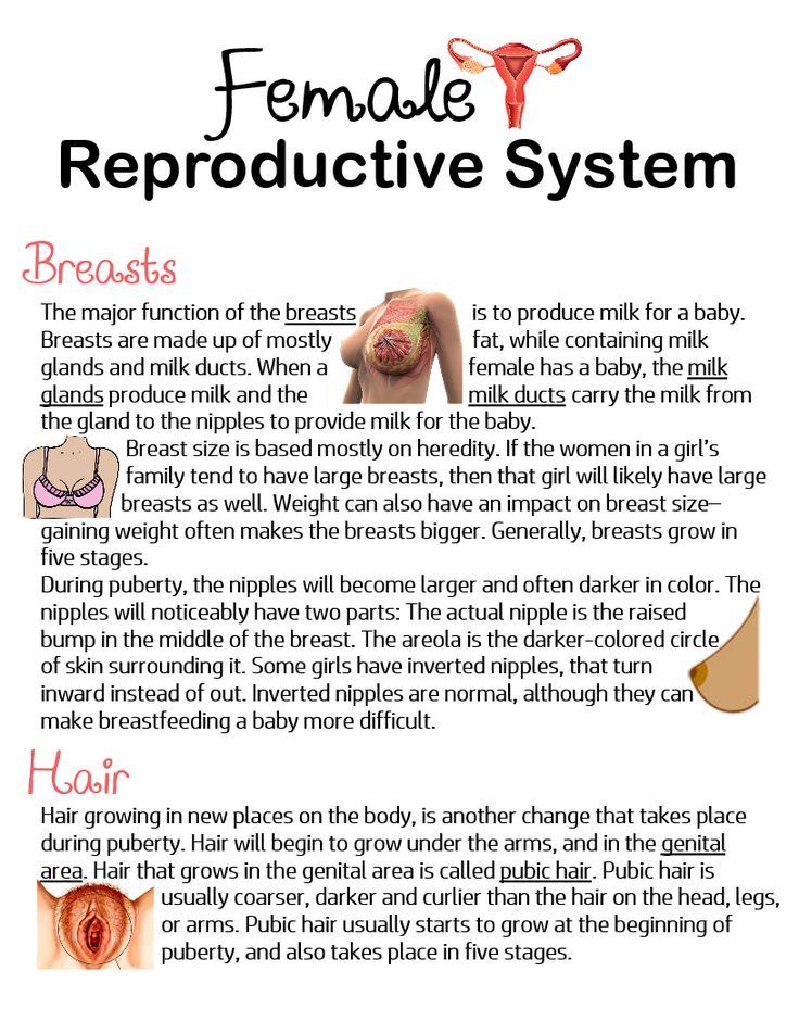 the female reproductional system is shown in this poster