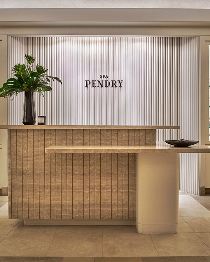 an empty reception area with a potted plant on the counter in front of it