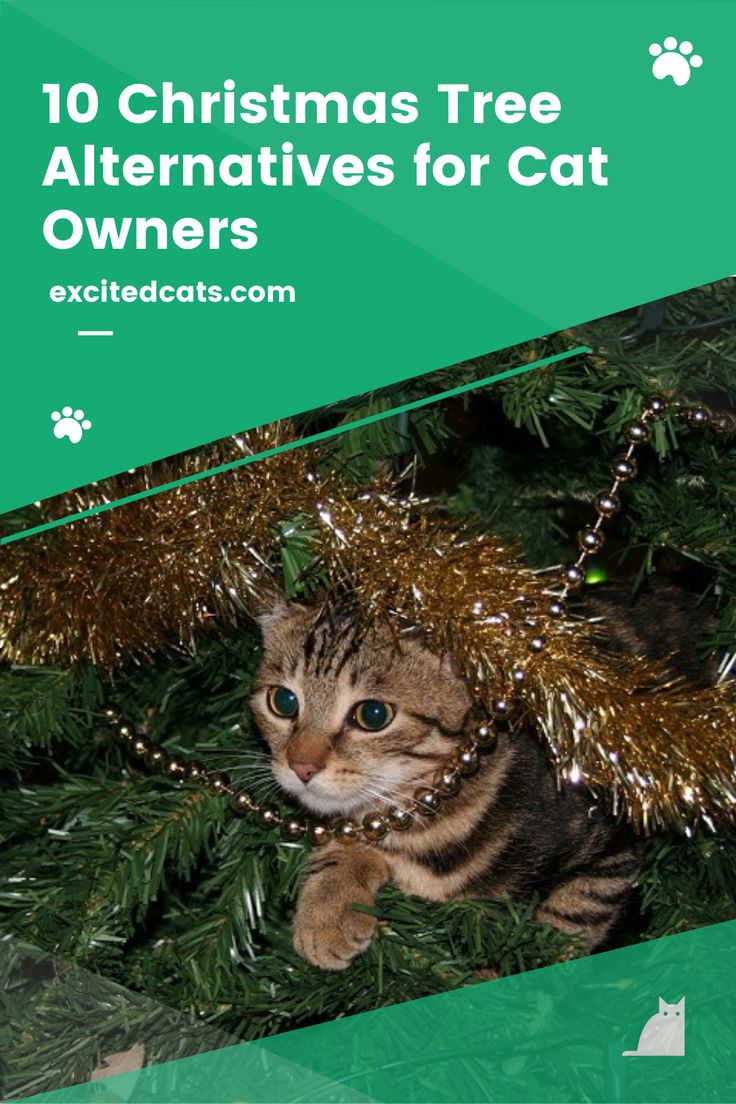 a cat hiding under a christmas tree with the caption 10 christmas tree alternatives for cat owners