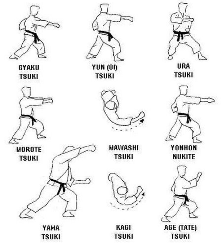 the basic karate moves for beginners