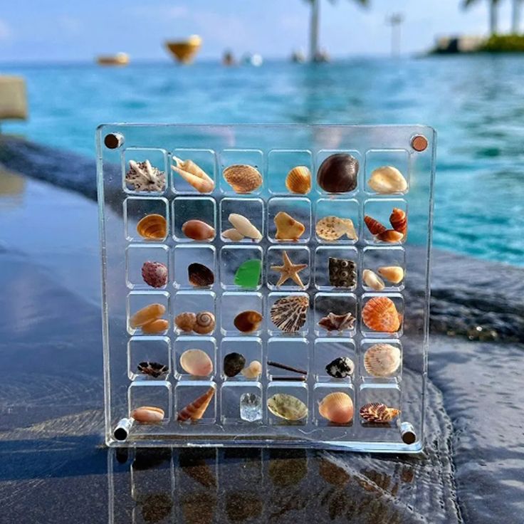 a glass block with shells in it sitting on the edge of a pool next to water