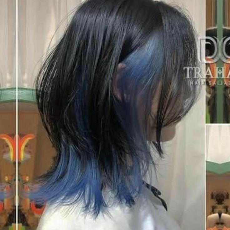 Dark Hair With Blue Streaks, Dark Blue Underdye Hair, Peekaboo Hair Color Layers, Underdye Hair Blue, Peekaboo Haircut, Dark Blue Brown Hair, Blue And Black Hair Short, Korean Blue Hair, Dark Blue Hair Highlights