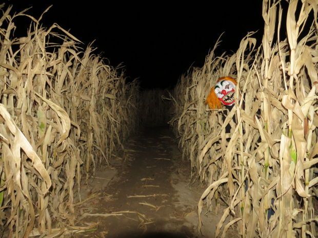 an image of a scary clown mask in the middle of a cornfield at night