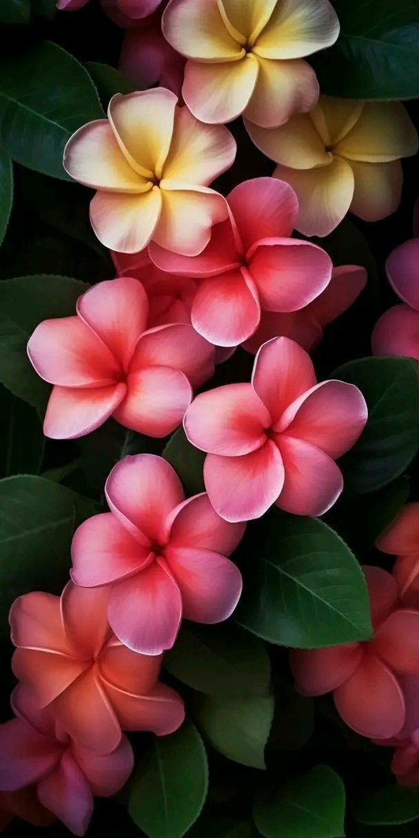 some pink and yellow flowers with green leaves