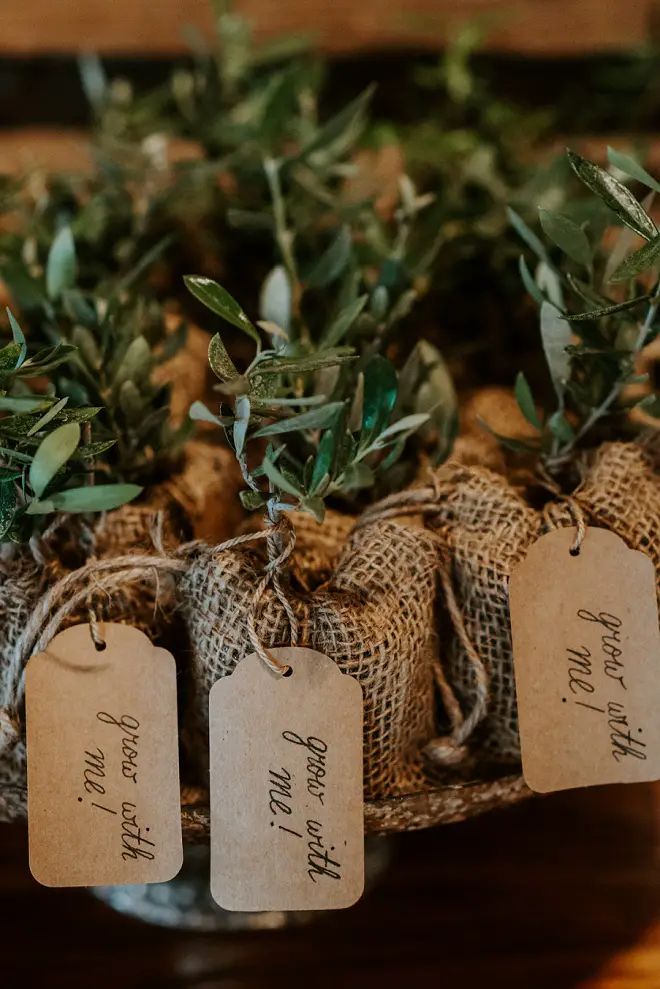 three tags are attached to twine burlap bags with green leaves on them