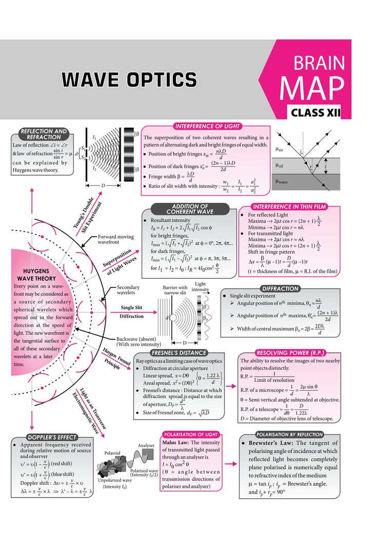 the brain map is shown in pink and white, with information about how to use it