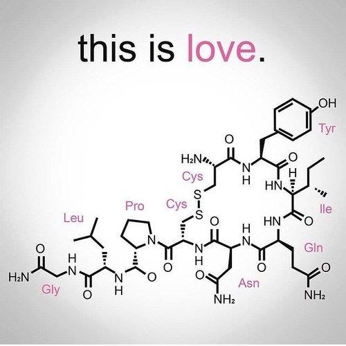 this is love xyrocin and the chemical formulas are written in pink