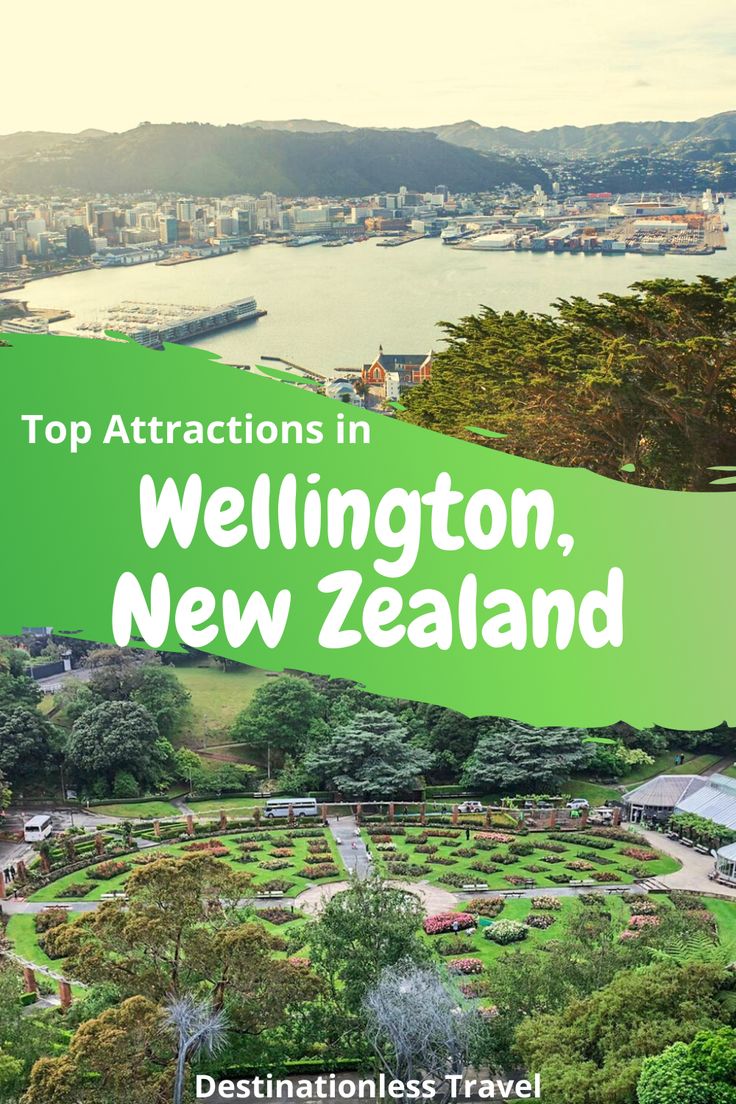 the top attractions in wellington, new zealand