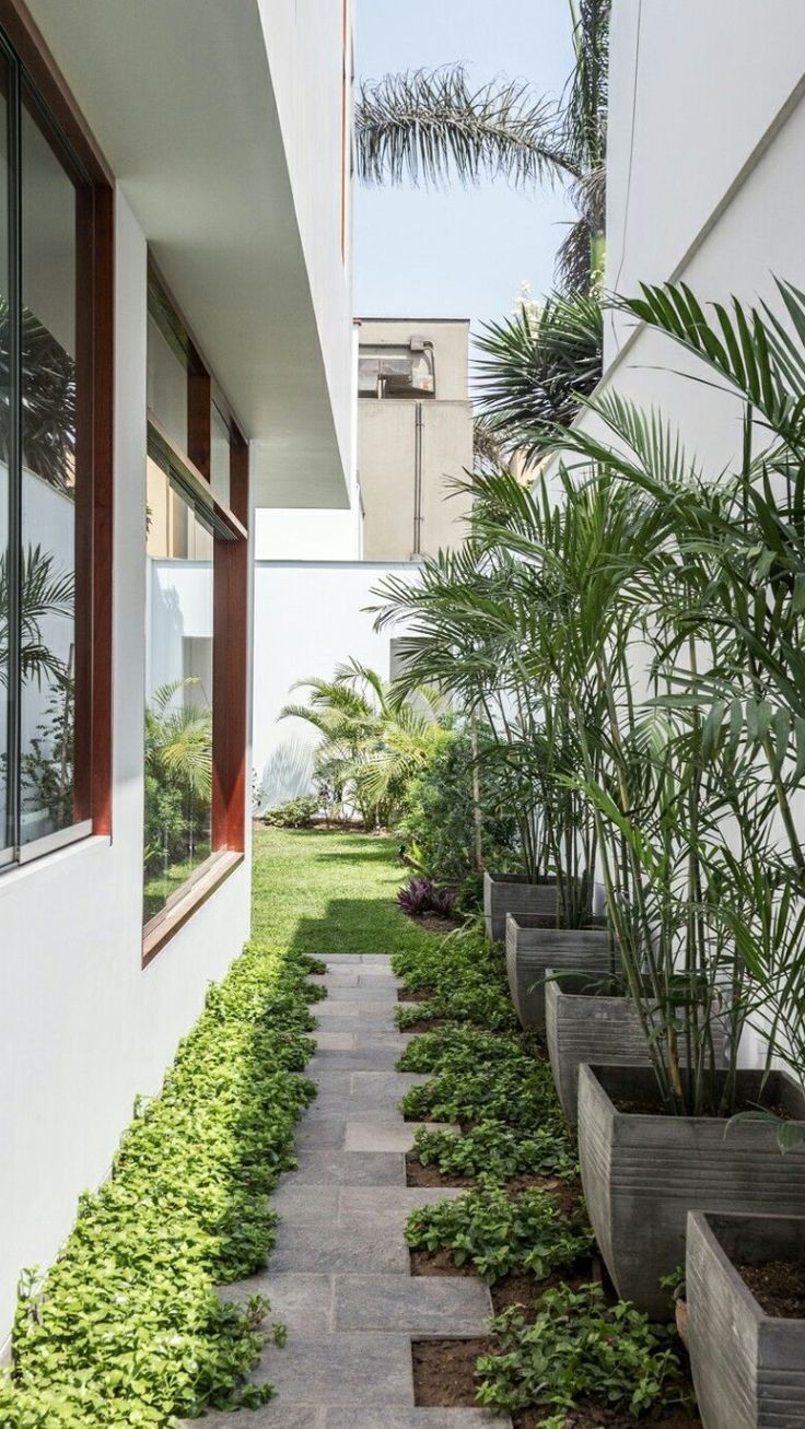 a long narrow walkway between two buildings with plants growing on the sides and in front