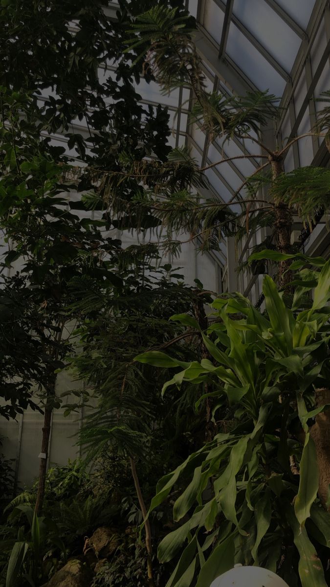 the inside of a greenhouse with lots of trees and plants