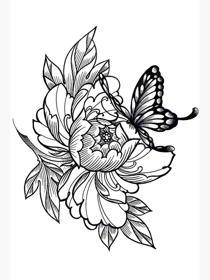 a black and white drawing of a flower with a butterfly sitting on top of it