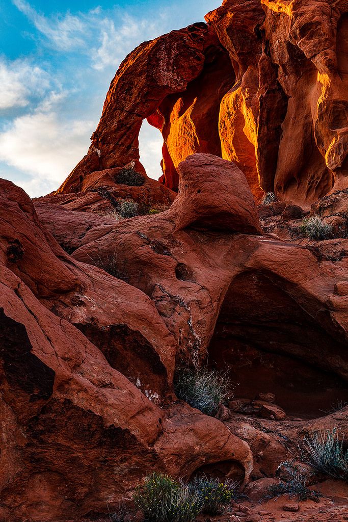 an arch in the desert with plants growing out of it's cracks and rocks