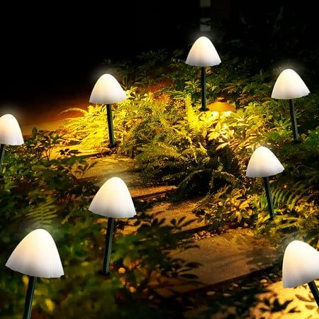 a bunch of lights that are in the grass by some bushes and trees at night