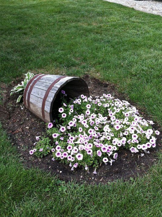 a bucket filled with flowers sitting on top of a lush green field