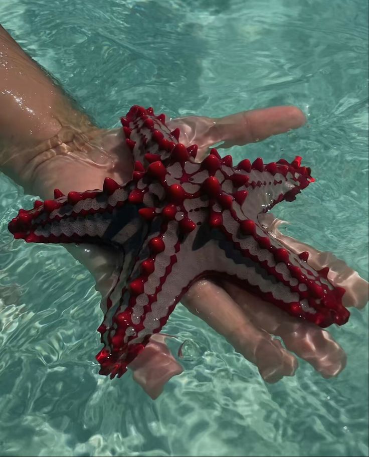 a person holding a starfish in the water with red beads on it's fingers