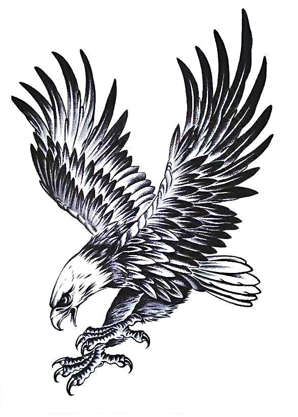 an eagle is flying in the air with its wings spread out and talons outstretched