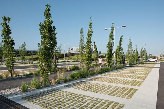 an empty parking lot with rows of plants growing on the ground and trees in the background