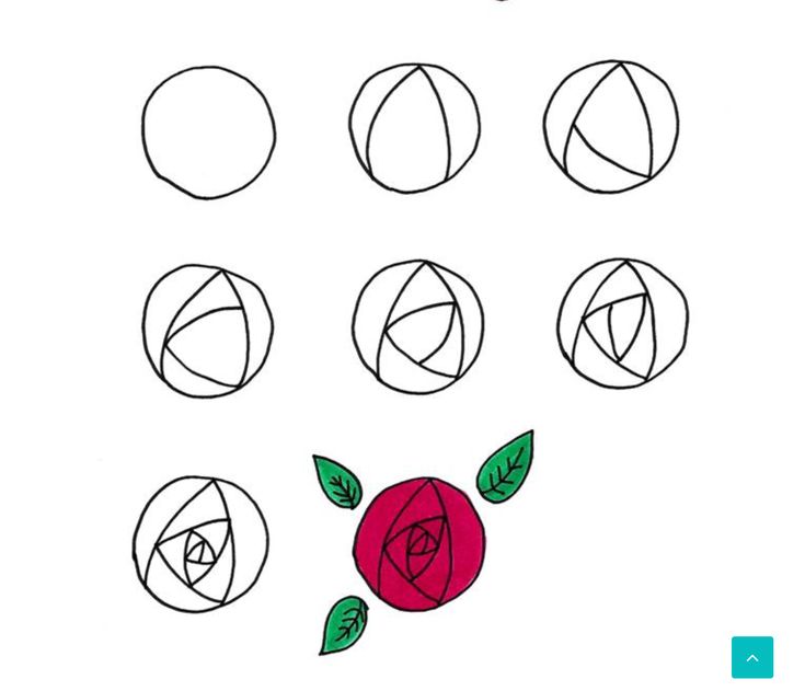 an image of a rose with six different shapes in the middle and one on top