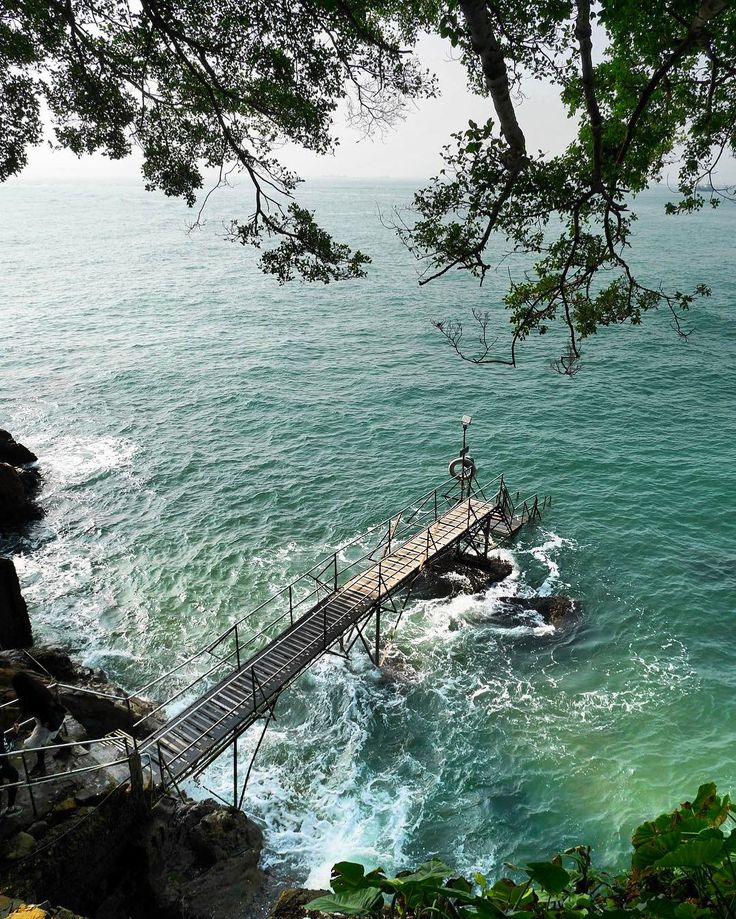 there is a wooden bridge that leads to the beach and water below it, along with some trees