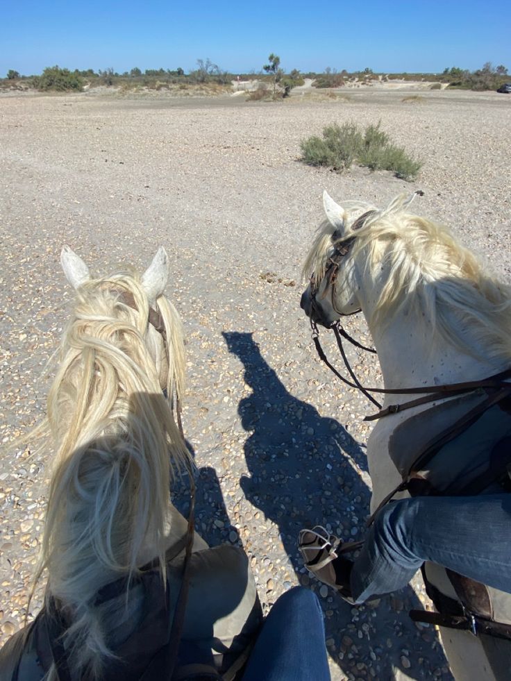 two people riding horses in the desert on a sunny day