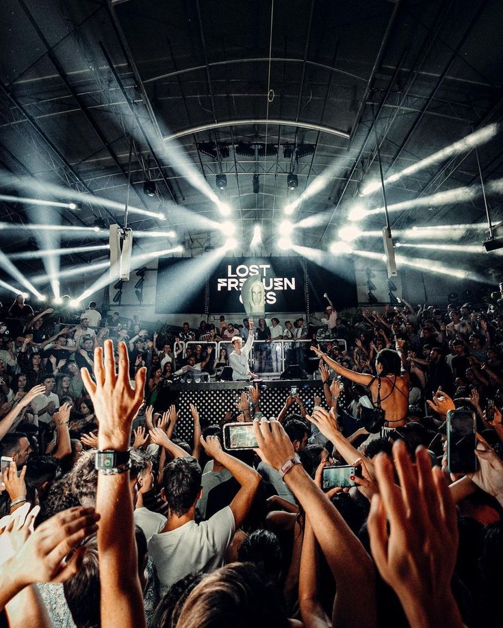 a crowd of people at a concert with their hands in the air and one person on stage