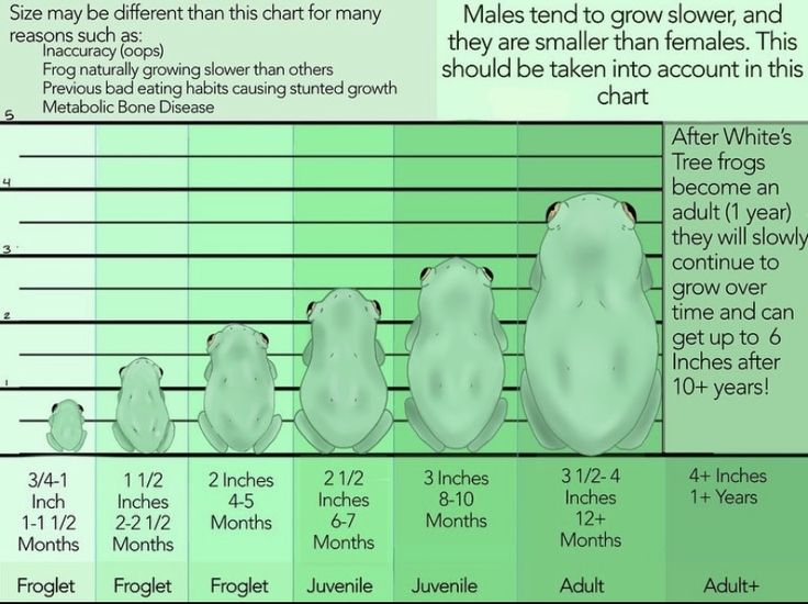 the chart shows how many people are able to grow their feet