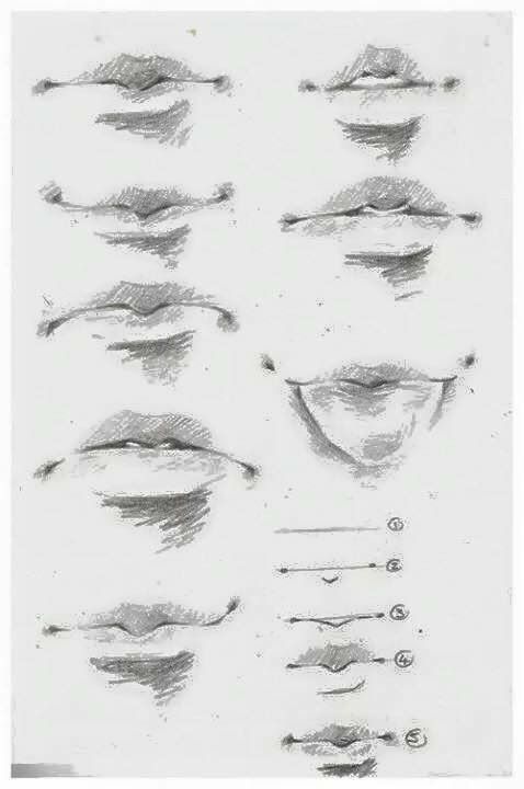 a drawing of different shapes and sizes of the eyeliners on a sheet of paper