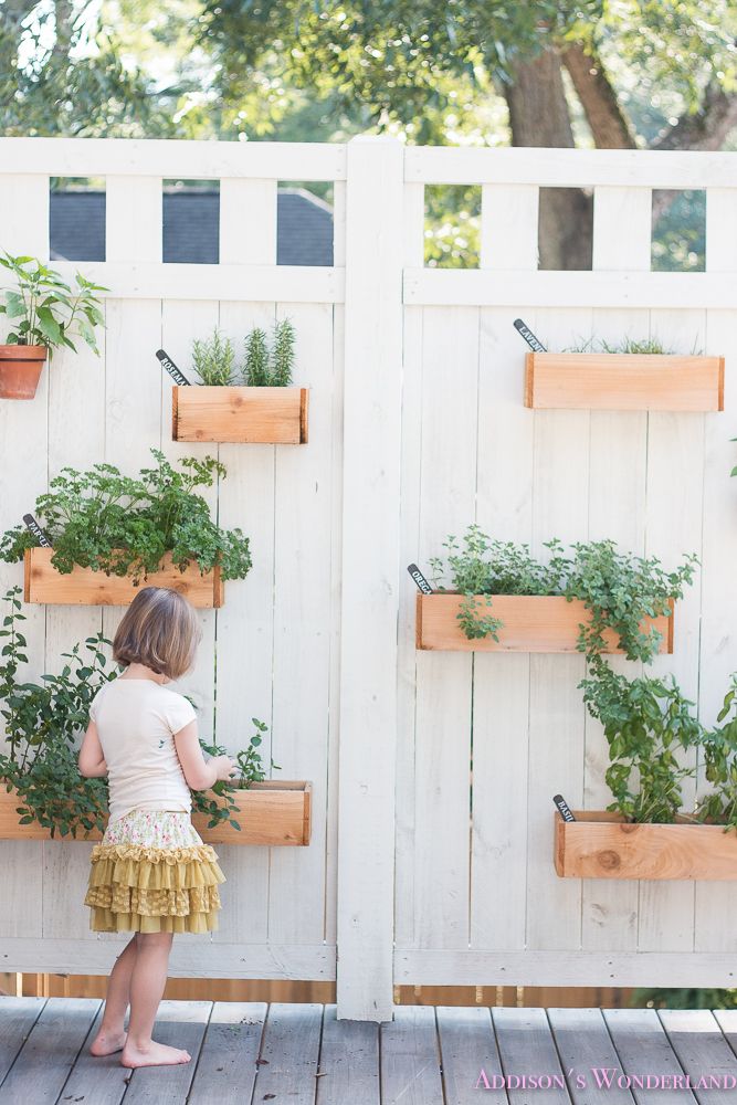 Diy Outdoor Wall, Patio Wall Planters, Screen Pergola, Pergola Wall, Pergola Modern, Herb Garden Wall, Wall Planters Outdoor, Herb Garden Pallet, Pergola Diy