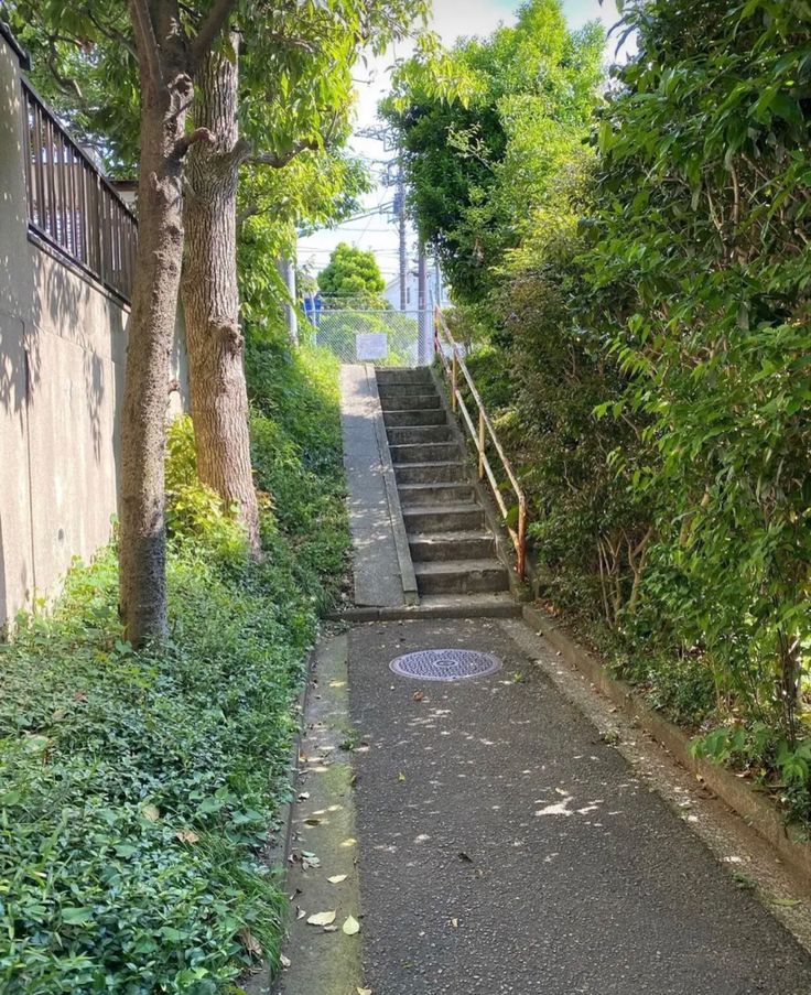 an alley way with steps leading up to trees and bushes along the side of it