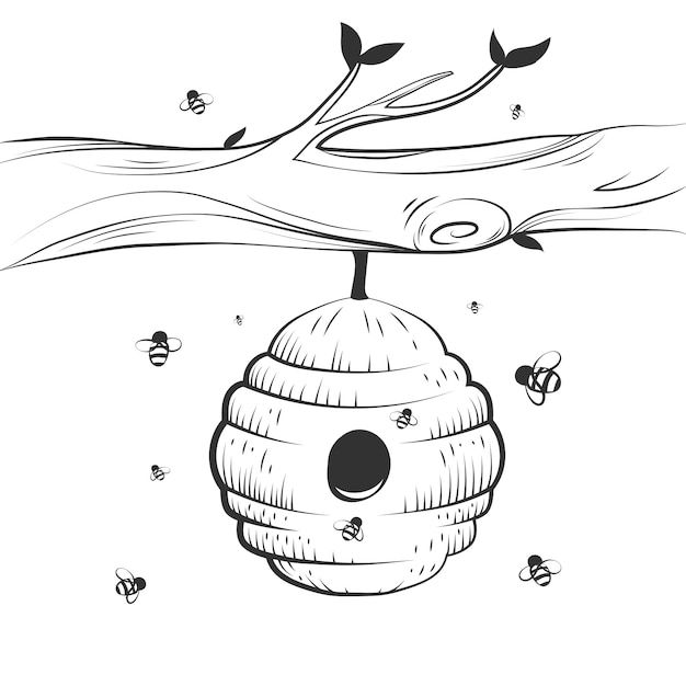 a drawing of a beehive hanging from a tree branch with bees around it