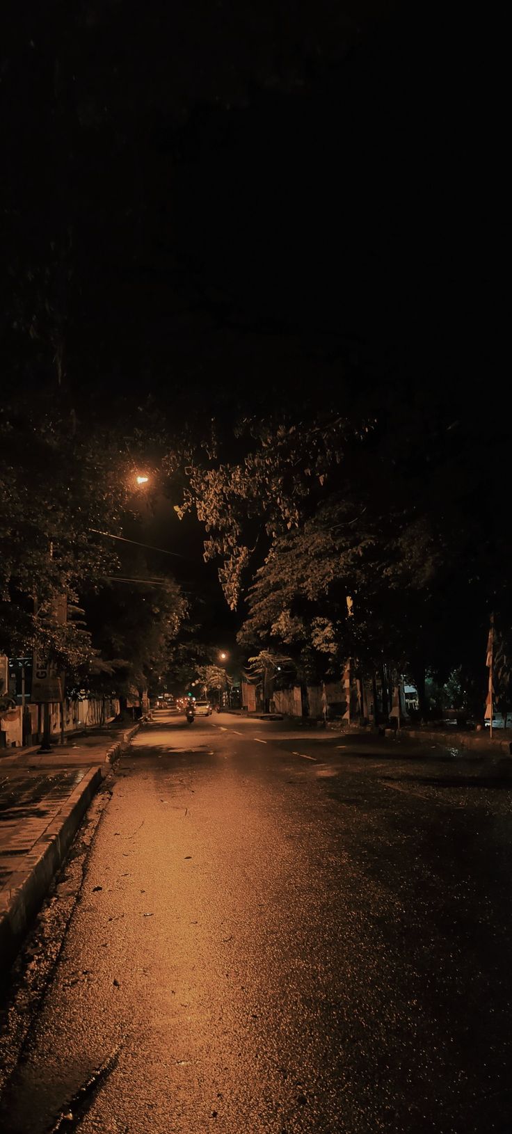 an empty street at night with no cars on the road and trees in the background