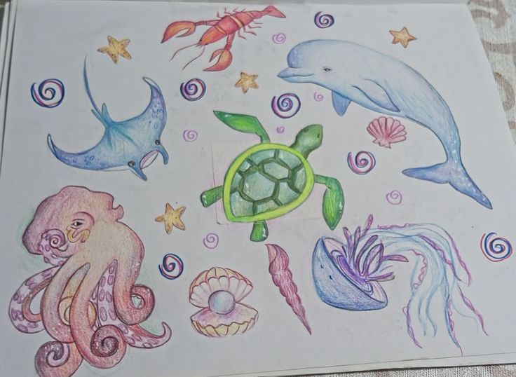 a drawing of sea animals and marine creatures on a sheet of paper with colored pencils