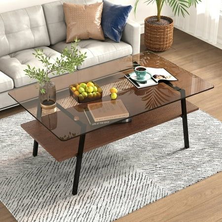 a living room with a couch, coffee table and potted plant on the rug