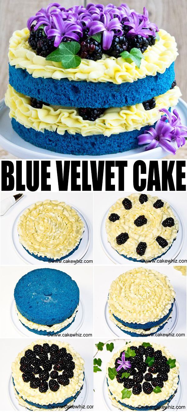 blue velvet cake with white frosting and blackberries on top, then topped with purple flowers