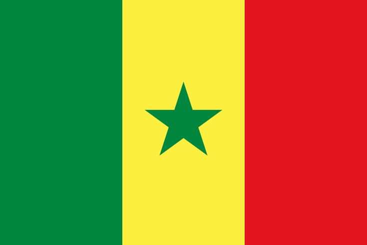 the flag of guinea is shown in red, green and yellow with a star on it