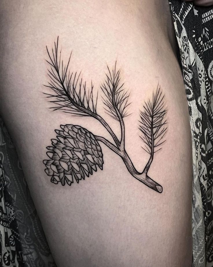 a pine cone tattoo on the right side of the thigh, with needles and leaves