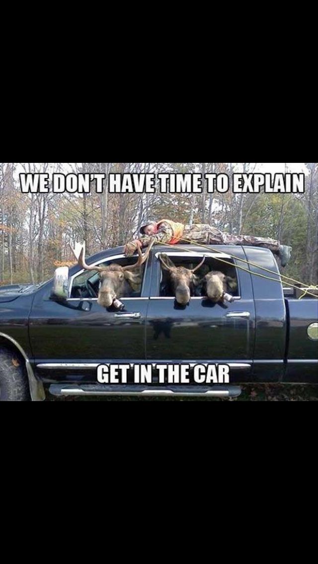 two dogs sitting in the back of a pickup truck with caption that reads, we don't have time to explain get in the car