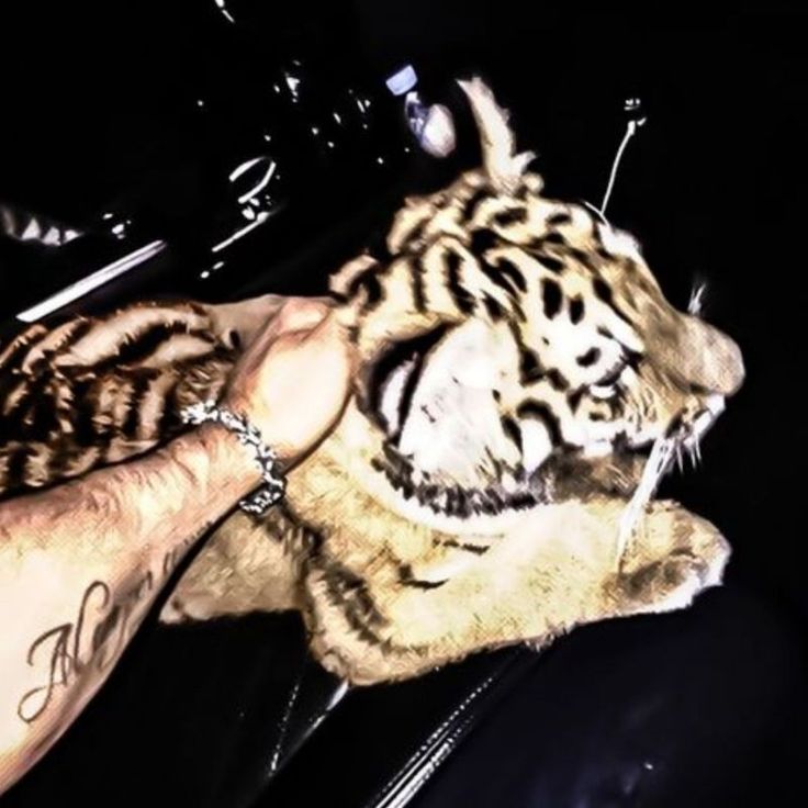 a person holding a stuffed tiger in their hand