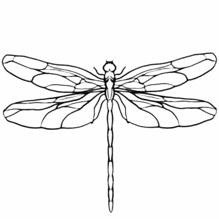 a black and white drawing of a dragonfly