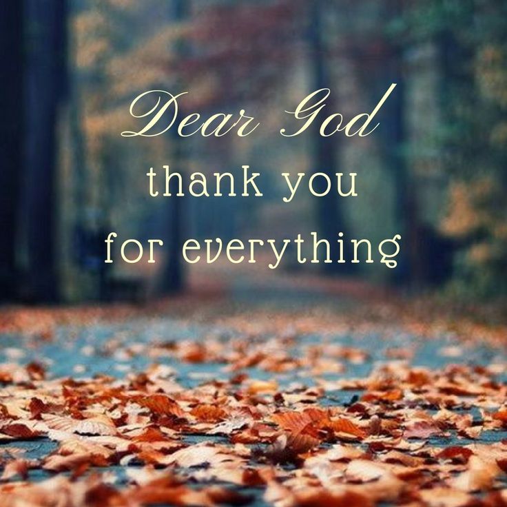 Dear God thank you for everything! Thank God Quotes, Praise God Quotes, Gratitude Quotes Thankful, Gods Love Quotes, Prayer Verses, Bible Knowledge, Morning Inspirational Quotes, Thank You God, God Quotes