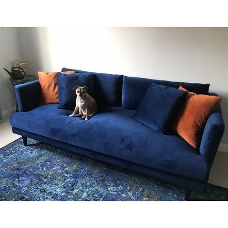 a dog sitting on top of a blue couch in front of a window with an orange pillow