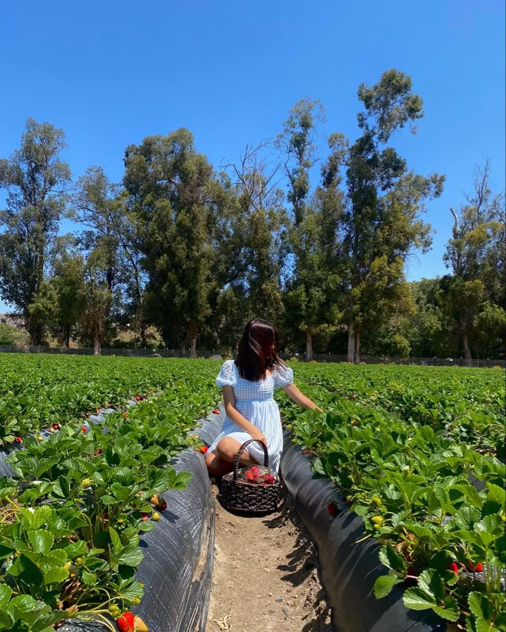 a woman sitting on top of a fence in a strawberry field