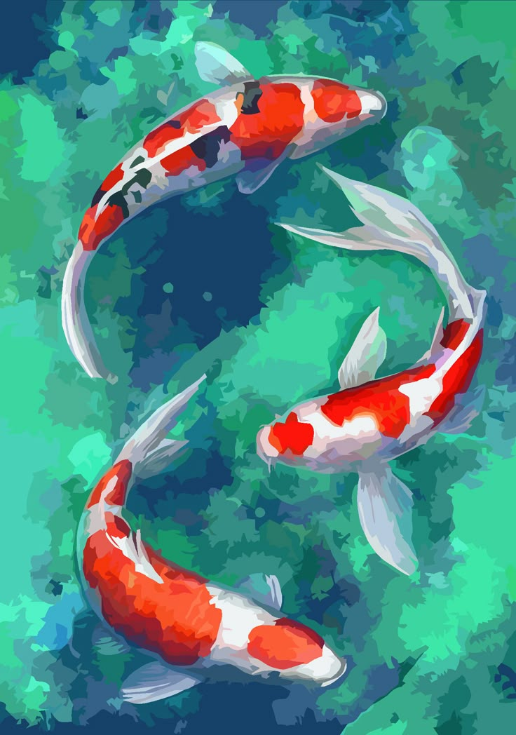 two red and white koi fish swimming in the water with blue sky behind them