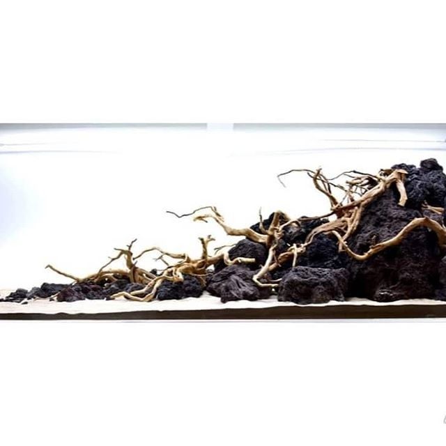 an aquarium filled with rocks and plants on top of it's bottom shelf,