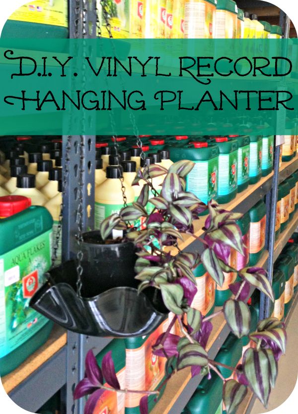 a store shelf filled with lots of cleaning products and hanging planters on it's sides