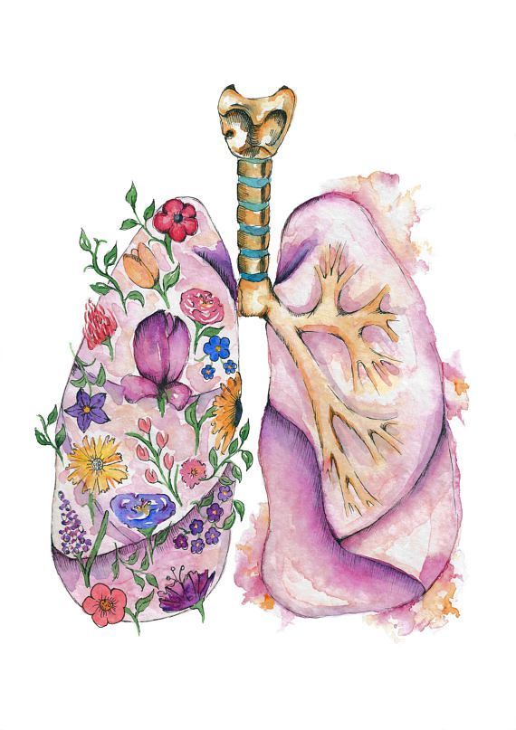 a drawing of the lungs with flowers on it and a skeleton holding a flowery bone