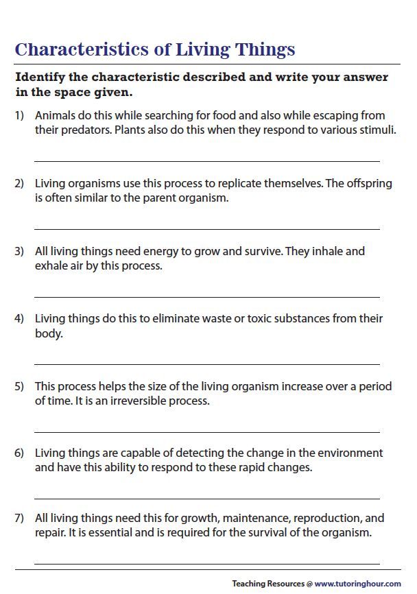 the characteristics of living things worksheet for kids and adults to learn about life