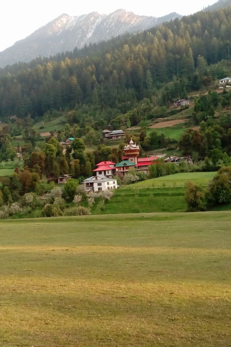 a horse standing in the middle of a field with mountains in the backgroud