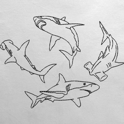 three drawings of sharks swimming in the ocean