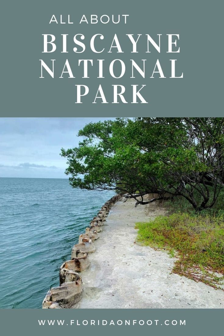 an image of the national park with text overlay that reads all about biscanye national park